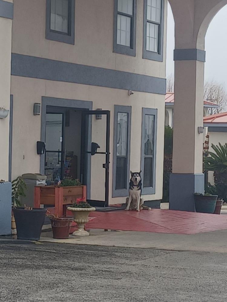 فندق دايز إن آند سويتس باي ويندام برونايج لايك Elmendorf المظهر الخارجي الصورة